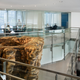 View of the sculpture from the second floor of the FBI’s Miami field office (Hedrich Blessing)